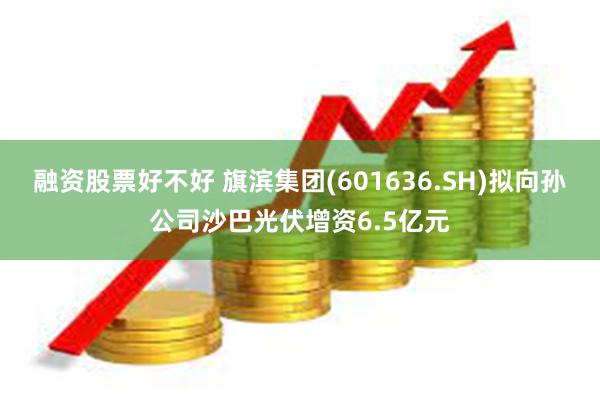 融资股票好不好 旗滨集团(601636.SH)拟向孙公司沙巴光伏增资6.5亿元