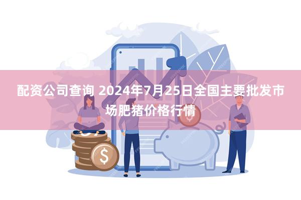 配资公司查询 2024年7月25日全国主要批发市场肥猪价格行情