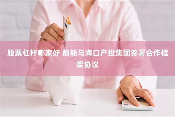 股票杠杆哪家好 蔚能与海口产投集团签署合作框架协议