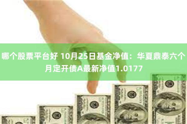 哪个股票平台好 10月25日基金净值：华夏鼎泰六个月定开债A最新净值1.0177