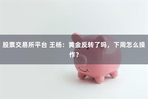 股票交易所平台 王杨：黄金反转了吗，下周怎么操作？