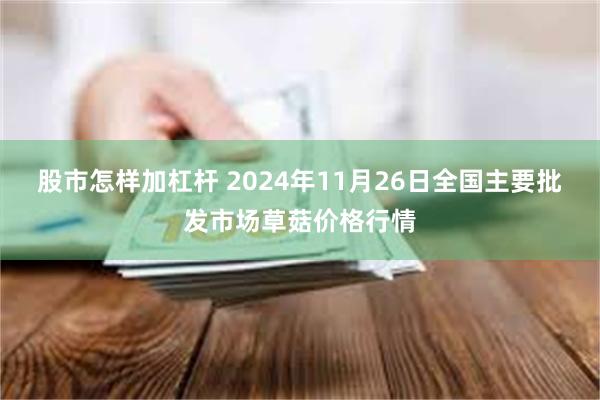 股市怎样加杠杆 2024年11月26日全国主要批发市场草菇价格行情